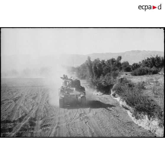 Progression d'un char moyen Sherman M4 d'une unité blindée du CEF (corps expéditionnaire français) dans le lit d'un oued en Algérie lors d'un entraînement.