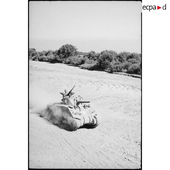 Progression d'un char moyen Sherman M4 d'une unité blindée du CEF (corps expéditionnaire français) dans le lit d'un oued en Algérie lors d'un entraînement.