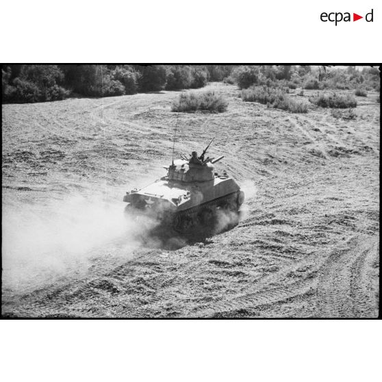 Progression d'un char moyen Sherman M4 d'une unité blindée du CEF (corps expéditionnaire français) dans le lit d'un oued en Algérie lors d'un entraînement.