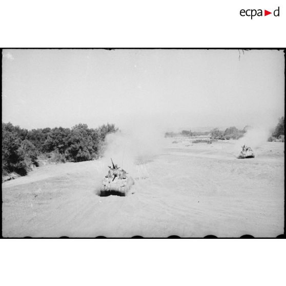 Progression de chars moyens Sherman M4 d'une unité blindée du CEF (corps expéditionnaire français) dans le lit d'un oued en Algérie lors d'un entraînement.