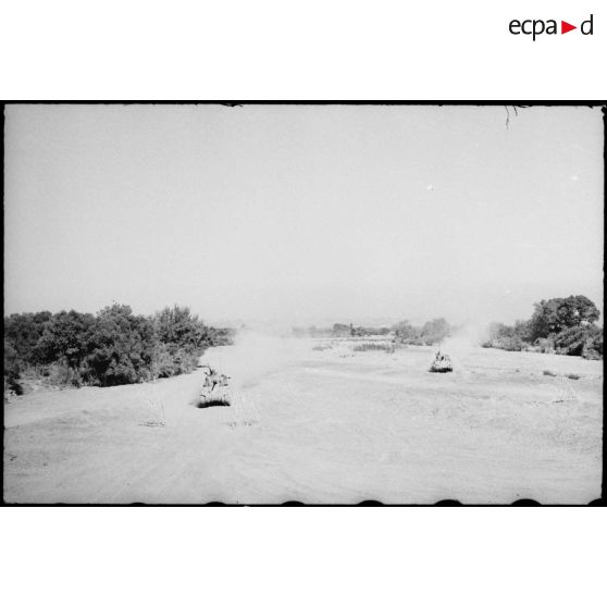 Progression de chars moyens Sherman M4 d'une unité blindée du CEF (corps expéditionnaire français) dans le lit d'un oued en Algérie lors d'un entraînement.