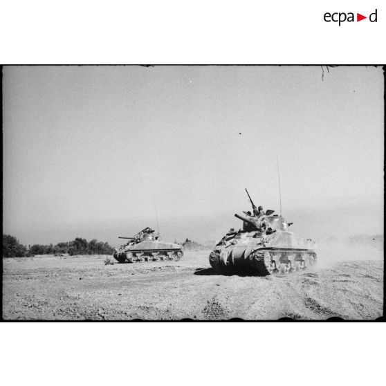 Progression de chars moyens Sherman M4 d'une unité blindée du CEF (corps expéditionnaire français) lors d'un entraînement dans une région désertique algérienne.