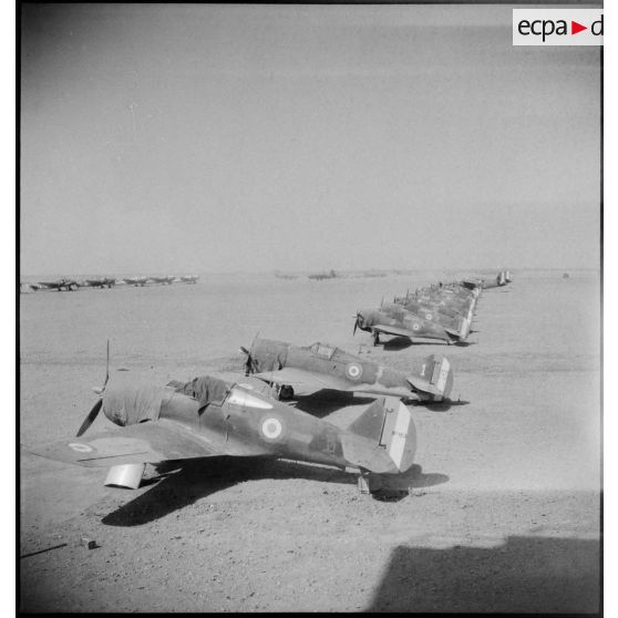 Chasseurs Curtiss H-35 Hawk (ou P-36) parqués sur le terrain de l'école de l'Air de Marrakech.