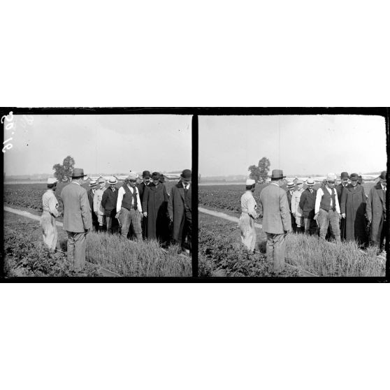 Le Tremblay (Seine et Oise). M. David, ministre de l'agriculture. Le capitaine Morin, directeur de culture des troupes disponibles visitent le champ de culture. [légende d'origine]