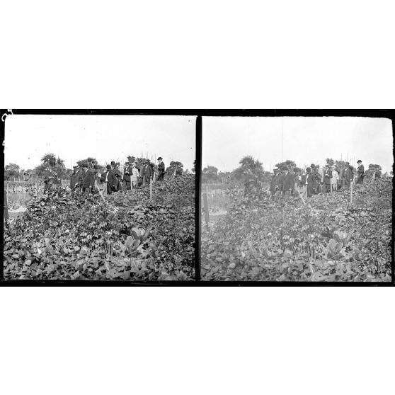 Fortifications de Bercy (Seine). Visite du Lot 2 de culture des fortifications avec M. Sabot? maire du XIIème arrondissement, M. Dubocq, maire adjoint, M. Adenis, président du Comité. [légende d'origine]