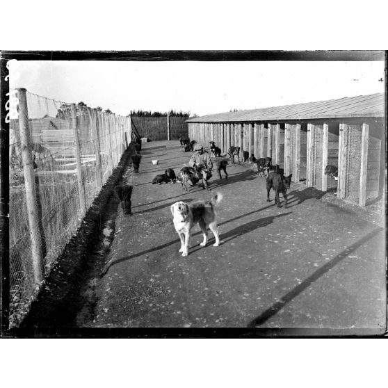 Lure (Haute-Saône). Le chenil de la VIIe armée. [légende d'origine]