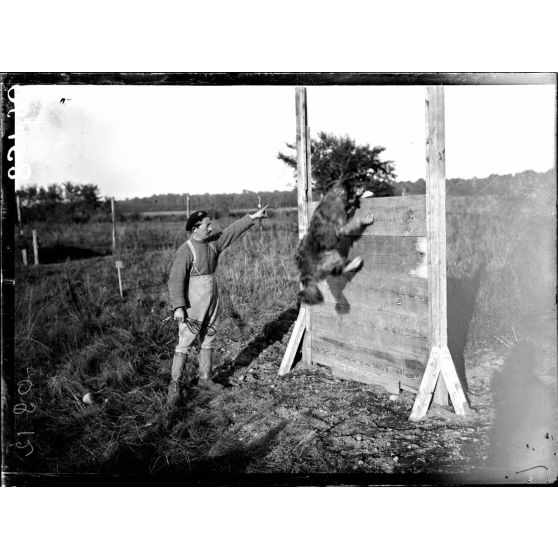 Lure (Haute-Saône). Le chenil de la VIIe armée. Dressage pour le passage d'un obstacle. [légende d'origine]