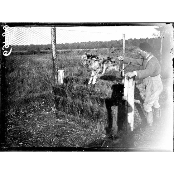 Lure (Haute-Saône). Le chenil de la VIIe armée. Dressage pour le passage d'un obstacle. [légende d'origine]