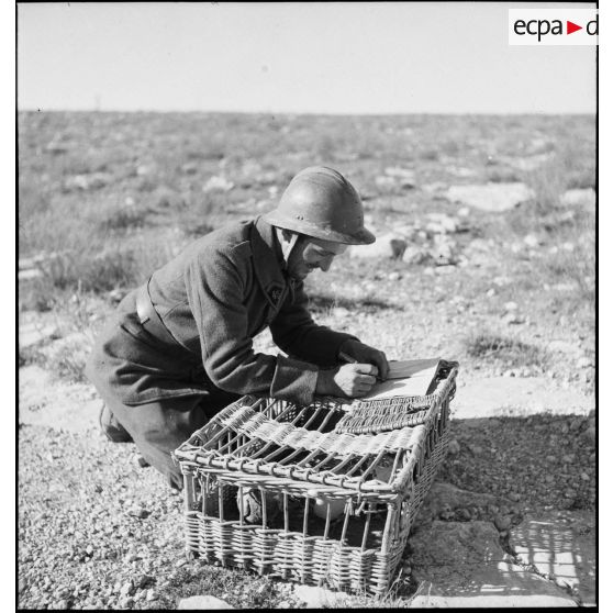 Un caporal-chef du 45e BTrs (bataillon de transmissions) rédige un message qu'il va transmettre par pigeon voyageur.