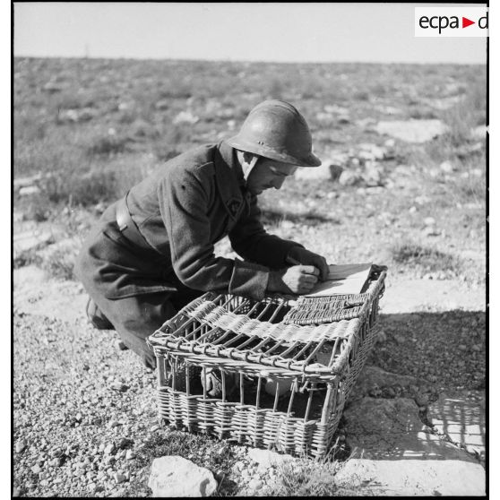 Un caporal-chef du 45e BTrs (bataillon de transmissions) rédige un message qu'il va transmettre par pigeon voyageur.