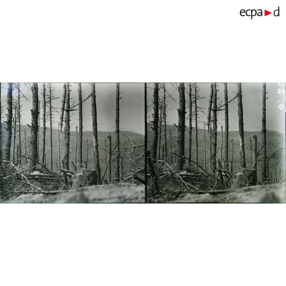 Le Linge. Alsace. Pris du boyau Morlière. [légende d'origine]