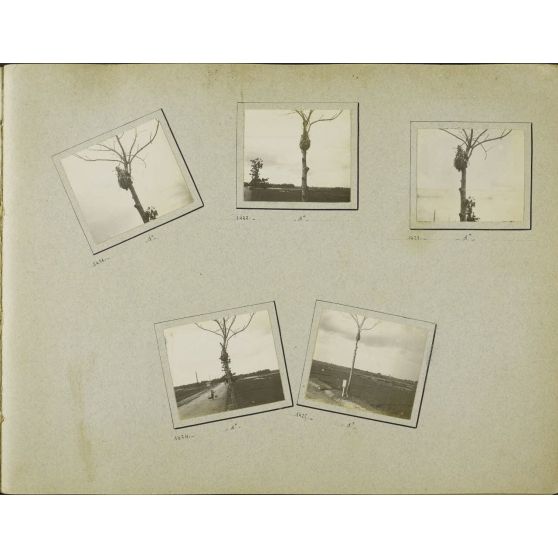 Album Imbert Tonkin 8 (série 1401 à 1600), page 7.