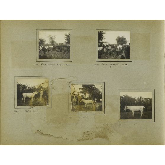 Album Imbert Tonkin 6 (série 1001 à 1200), page 36.