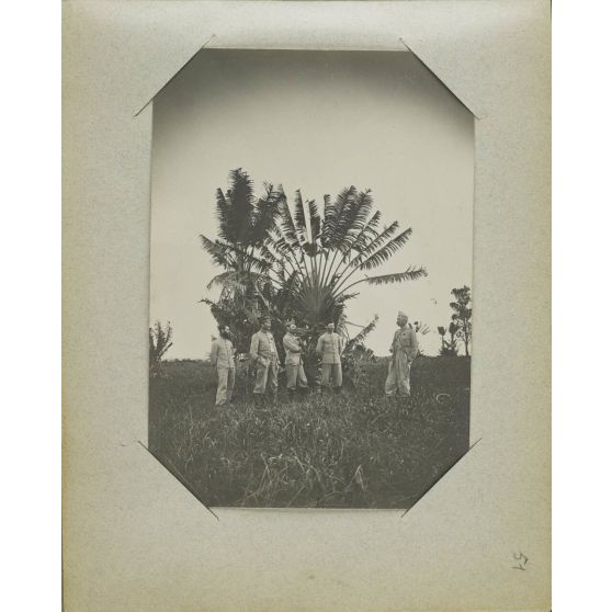 Album Imbert Madagascar 9 (Série 51 à 100), page 4.