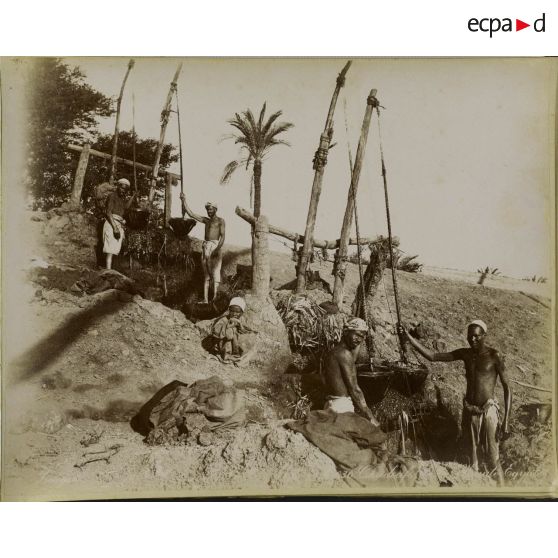 Album  Egypte, page 6.