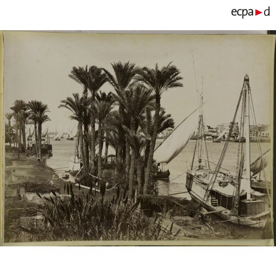 Album  Egypte, page 8.