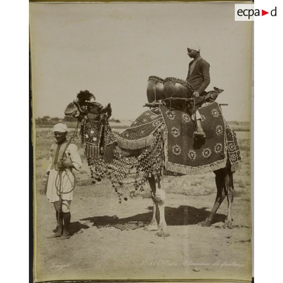 Album  Egypte, page 11.