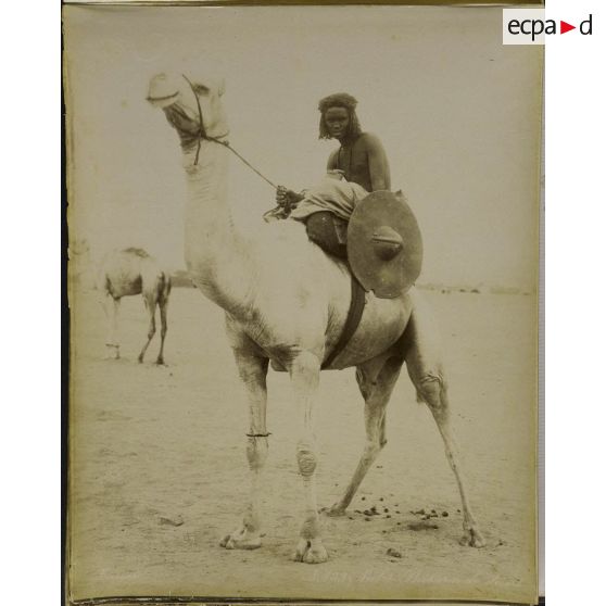 Album  Egypte, page 12.