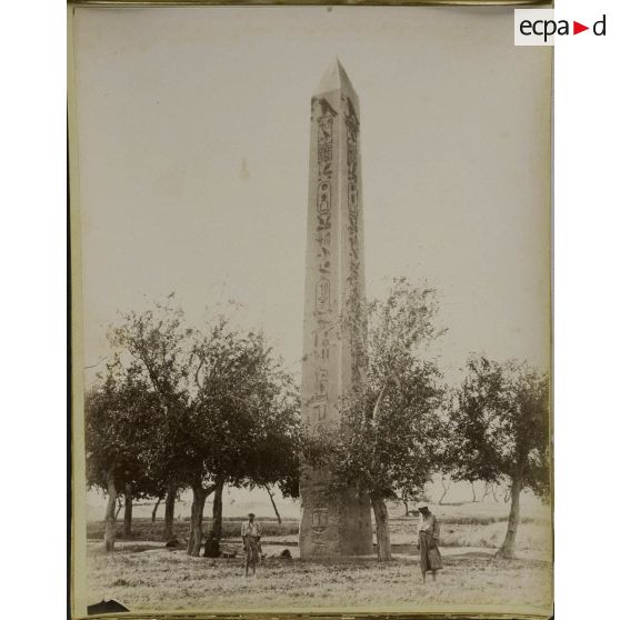 Album  Egypte, page 14.