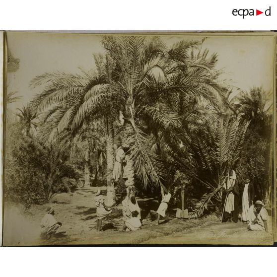 Album  Egypte, page 15.