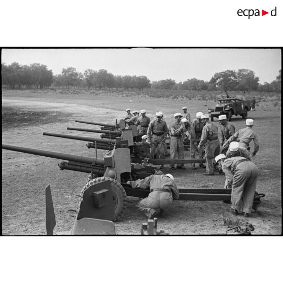 Des légionnaires de l'escadron antichars du 1er REC (régiment étranger de cavalerie) se préparent à déplacer leurs canons de 57 mm M1 à l'issue de la prise d'armes près de la forêt de la Mamora.