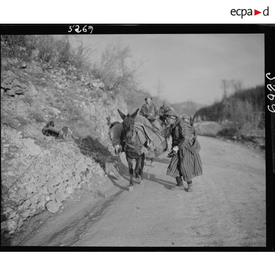 Les goumiers d'un tabor marocain avancent avec leurs mulets.