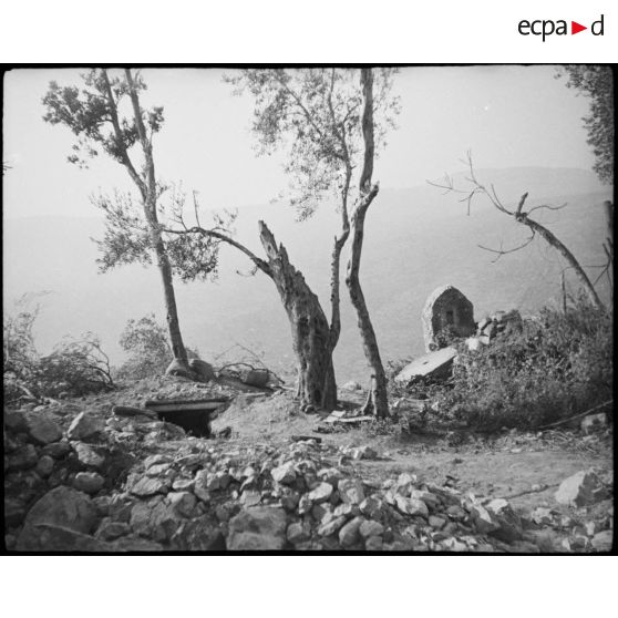 Ancien abri allemand.