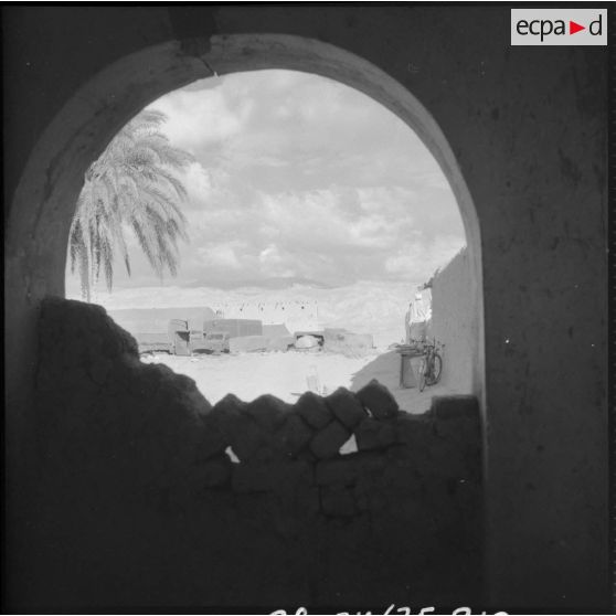 Eléments de transport de la 75e CRD (compagnie de réparation divisionnaire) groupés devant les bâtiments.