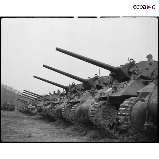 Les chars sont alignés pour la cérémonie.