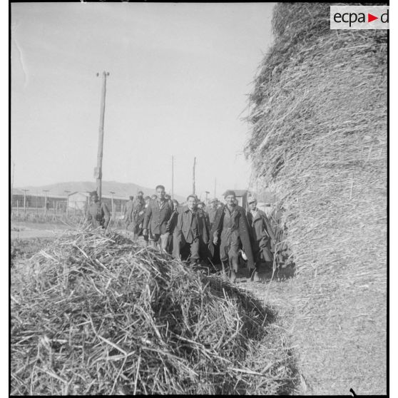 Un groupe de prisonnier de guerre se rend au travail.