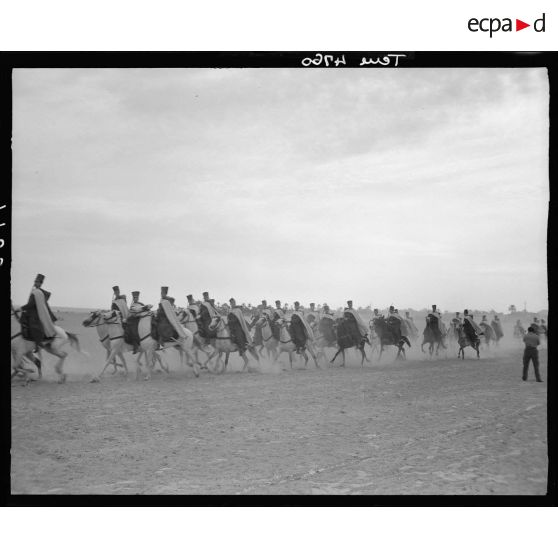 Exercice équestre à l'école des élèves officiers indigènes de Bou Saada.