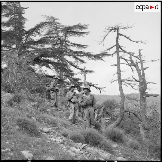 Opération de ratissage et arrestations dans les Aurès par le 1er BTA (bataillon de tirailleurs algériens).