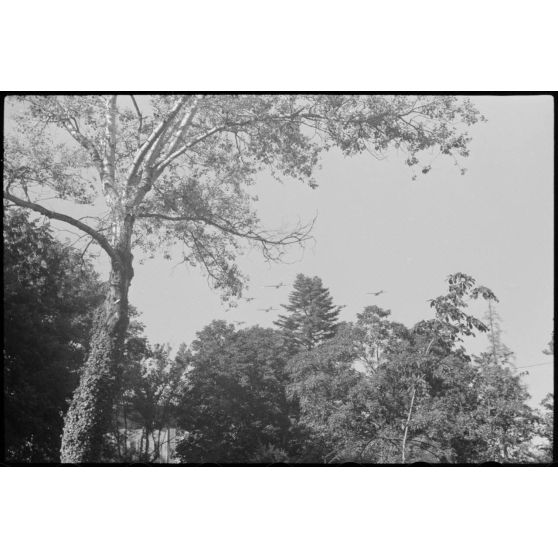 Depuis une maison réquisitionnée où s'est implanté l'état-major du Luftlandegeschwader 1, vue sur plusieurs planeurs DFS-230 et tracteurs Henschel Hs-126 viennent de décoller.