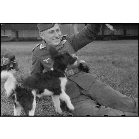 En Norvège, sur l'aérodrome de Stavanger-Sola, lors d'une démonstration 8./LLG 1 (Lulftlandegeschwader 1), un sous-officier joue avec un chien, mascotte de l'unité.