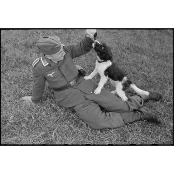 En Norvège, sur l'aérodrome de Stavanger-Sola, lors d'une démonstration 8./LLG 1 (Lulftlandegeschwader 1), un sous-officier joue avec un chien, mascotte de l'unité.