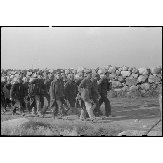 En Norvège, à proximité du terrain d'aviation de Banak, des prisonniers soviétiques lors de manoeuvres communes entre l'armée de terre allemande et le 8./LLG 1 (Lulftlandegeschwader 1).