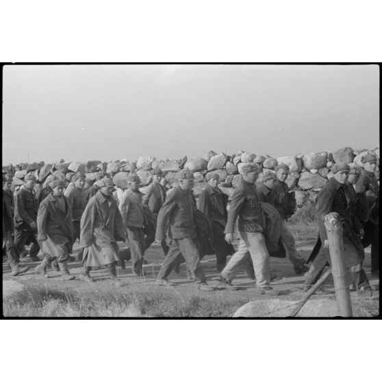 En Norvège, à proximité du terrain d'aviation de Banak, des prisonniers soviétiques lors de manoeuvres communes entre l'armée de terre allemande et le 8./LLG 1 (Lulftlandegeschwader 1).