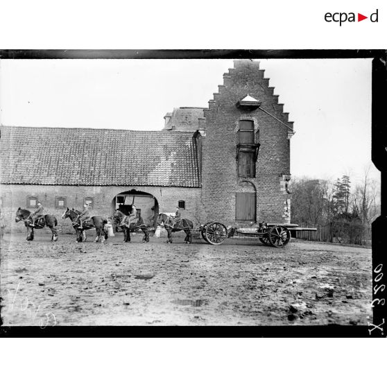 Types de chevaux de l'artillerie lourde anglaise. [légende d'origine]