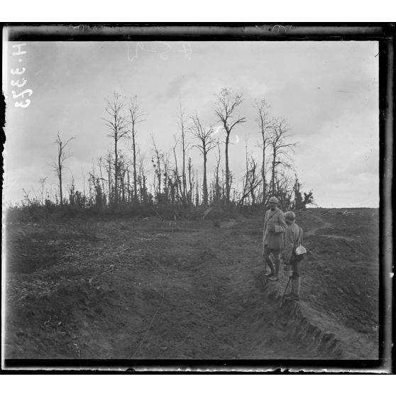 Près Feuillères (Somme). Corne S. E. du bois de Méréaucourt. [légende d'origine]