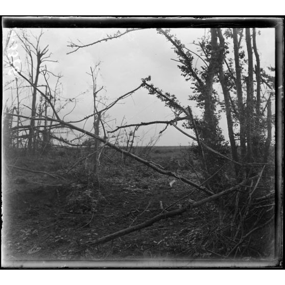 Bois de Méréaucourt (Somme). Corne Sud-Est. [légende d'origine]