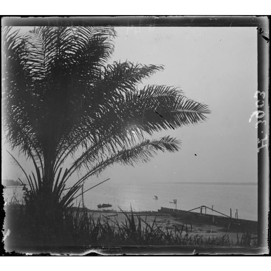 Douala. Le fleuve Cameroun. [légende d'origine]