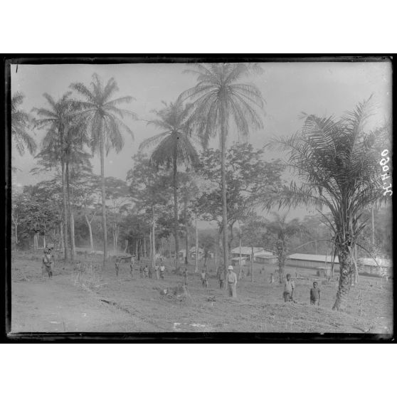 Eséka. Un coin du village. [légende d'origine]