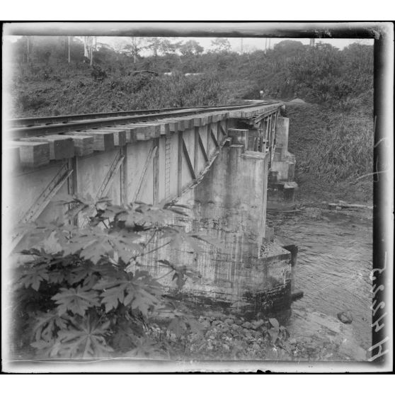 Nloé (Cameroun). Pont de la Dibombé. [légende d'origine]