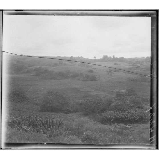 Ndoungé. Mamelons herbeux. [légende d'origine]