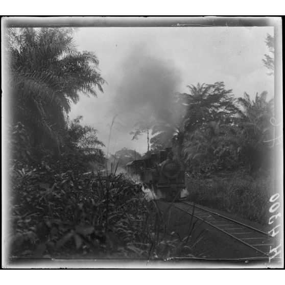 Kaké. Train en forêt. [légende d'origine]