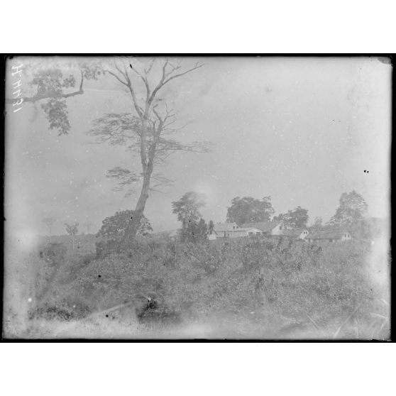 Edéa. Un coin du village. [légende d'origine]