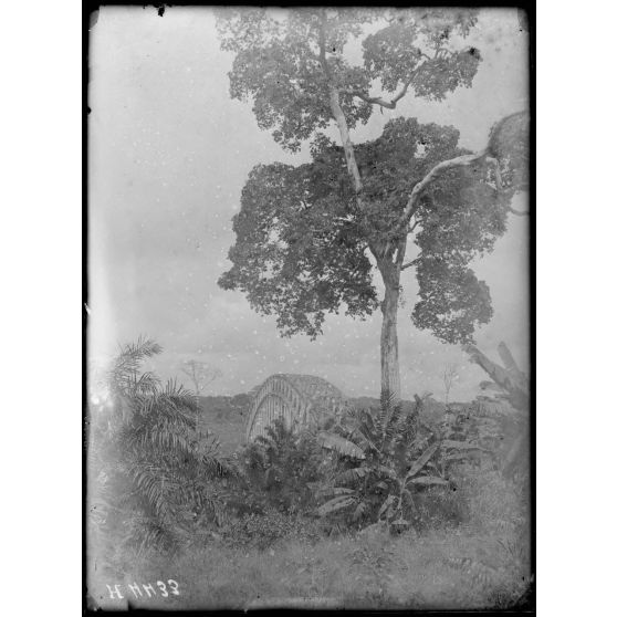 Edéa. Le pont et la brousse du rivage. [légende d'origine]