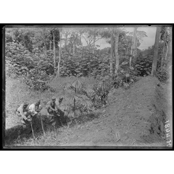 Route de Yaoundé, kilomètre 45. Lengoé. Talus et tranchée garnie de pieux pointus (où sont les tirailleurs) orientée face au sud. [légende d'origine]