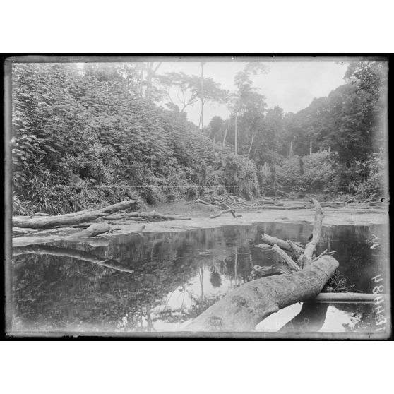 Route de Yaoundé, kilomètre 45. Lengoé. L'ouvrage vu des bords de la Kélé, dissimulé derrière des kombo-kombo. [légende d'origine]