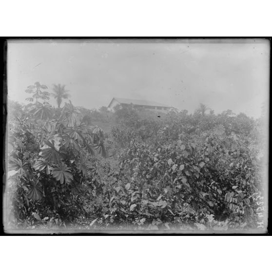 So Dibanga. La factorerie vue de la ligne. [légende d'origine]